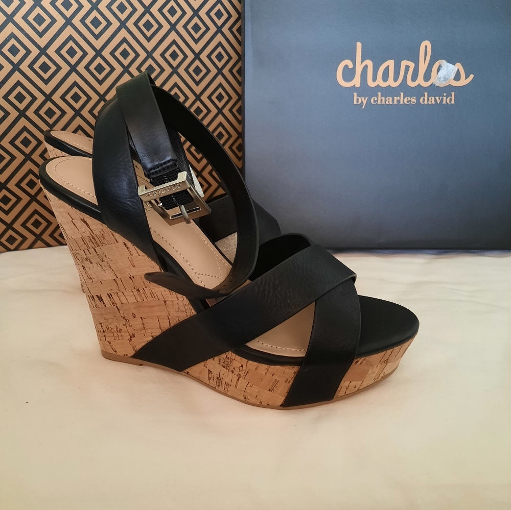 Charles David NWT Leather Cork Wedge Platform Sandals Size 6